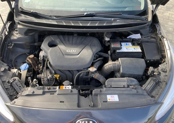 Kia Ceed cena 23900 przebieg: 163900, rok produkcji 2013 z Świecie małe 379